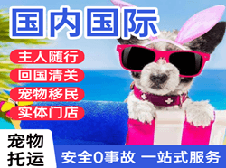 宁远空运代理国际宠物托运 【国